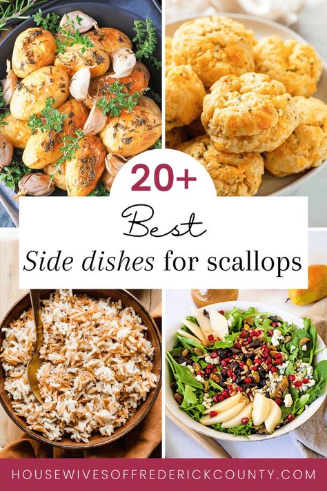 best side dishes for scallops Side Dishes For Scallops, Roasted Mini Potatoes, Sauteed Scallops, Creamy Lemon Pasta, Scallop Recipe, Mini Potatoes, Sauteed Green Beans, Quick Side Dishes, Pasta Side Dishes