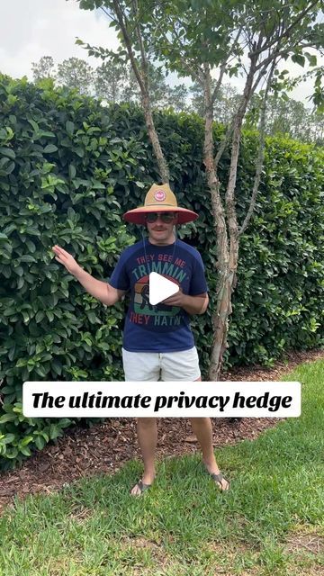 Kyle Williams on Instagram: "🌿 Looking for some quick and beautiful privacy for your yard? Planting viburnum is the way to go! This lush hedge grows fast, giving you the ultimate natural screen. Say goodbye to prying eyes and hello to your private oasis! 🏡🌳 #thatrealtorwhogardens #thatgaygardener #garden #gardening #gardeningtips #homegarden #gardenproject #fyp #summerishere #zone9 #zone9garden #gettingdirtywithkyle #spring #summerinthesouth #stache #stachedaddy #GreenThumb #Gardening101 #GreenTherapy #GardeningJourney #GardenLove #PrivacyHedge #Viburnum #HomeGarden #NaturalPrivacy #OutdoorLiving #hedgegate" Yard Privacy Ideas Plants, Landscape Design Privacy, Sweet Viburnum Hedge, Landscaping With Sunshine Ligustrum, Florida Privacy Hedge, Narrow Privacy Hedge, Cottage Garden Privacy Hedge, Sweet Viburnum Hedge Privacy Screens, Viburnum Hedge