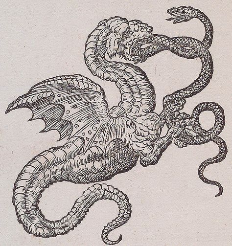 Explore griffinlb's photos on Flickr. griffinlb has uploaded 2195 photos to Flickr. Claude Paradin, Medieval Tattoo, Medieval Drawings, Medieval Dragon, Mythical Monsters, Occult Art, Mythological Creatures, Medieval Art, Ex Libris