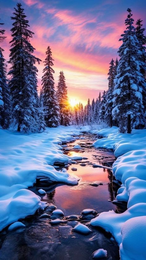 Winter Sunset Photography, Winter Sunset Wallpaper, Winter Scenes Photography, Snow Scenes Winter Landscape, Calm Photography, Snow Scenery, Winter Landscape Photography, Peaceful Music, Sunrise Wallpaper