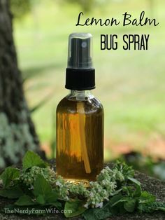 Lemon Balm Bug Spray, Lemon Balm Soap, Homemade Bug Spray Recipe, Natural Apothecary, Lemon Balm Recipes, Herbal Crafts, Homemade Bug Spray, Bug Spray Recipe, Homemade Cleaner