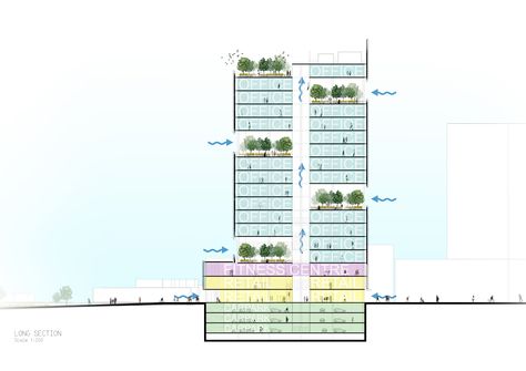 Long Section with allocated functions per floor Schematic Section, Site Analysis Architecture, Vertical City, Interior Architecture Drawing, Architecture Concept Diagram, Architecture Design Sketch, Concept Diagram, Architecture Graphics, Architectural Section