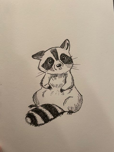 Drawing Of Raccoon, Raccoon Pencil Drawing, Animals Sketch Easy, Cute Drawings Of Raccoons, Fun Animal Doodles, Drawings Of Racoons, How To Draw Cartoon Raccoon, Sketch Ideas Animals Easy, Raccoon Sitting Drawing