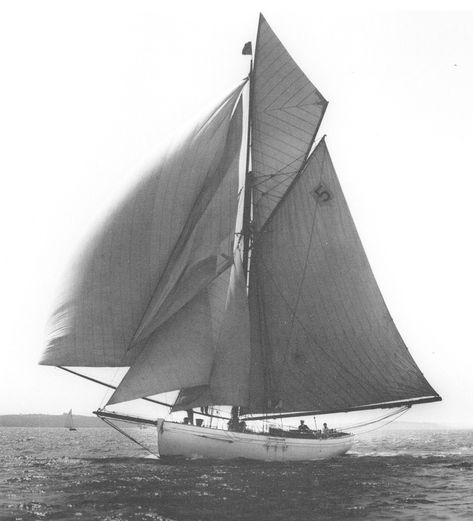 Tally Ho in 1927, running downwind with spinnaker during the fastnet race in Solent, UK. How To Build Abs, Patina Art, Us Naval Academy, Make A Boat, Classic Sailing, Build Your Own Boat, Chipped Paint, Tally Ho, Franklin D Roosevelt