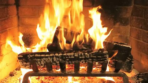 Discover & share this Fireplace GIF with everyone you know. GIPHY is how you search, share, discover, and create GIFs. Reading In The Woods, Fireplace Romantic, Fireplace Screensaver, Romantic Fireplace, Real Fireplace, Fireplace Video, Christmas Music Videos, Fire Animation, Towing Company