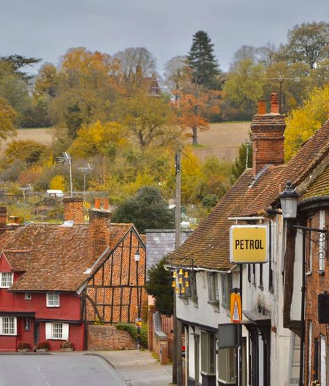 Saffron Walden, Essex. Saffron Wall Paint, Saffron Farming, Saffron Fields, Saffron Harvest, Saffron Walden, Illustration Projects, Inspo Board, Book Illustrations, Colouring Book