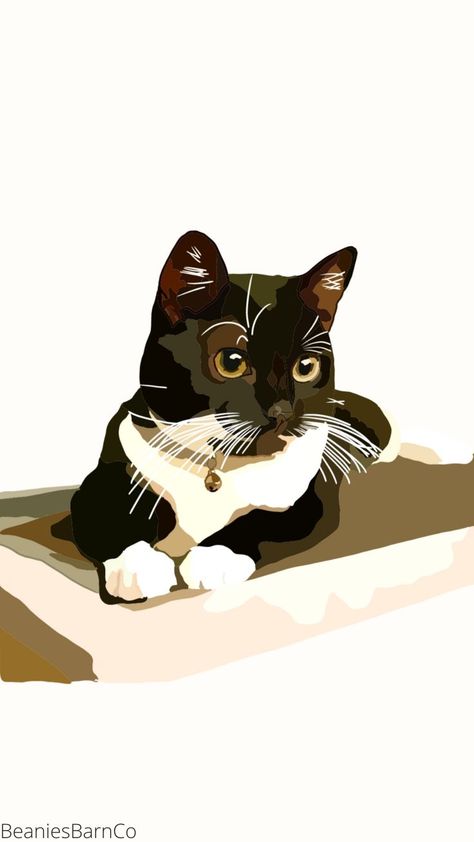 Tuxedo Cat Art, Watercolor Pencils Techniques, Cat Art Painting, Cat Wallpapers, Cat Bath, Cat Art Illustration, Cocoppa Wallpaper, Pets Drawing, Tuxedo Cats