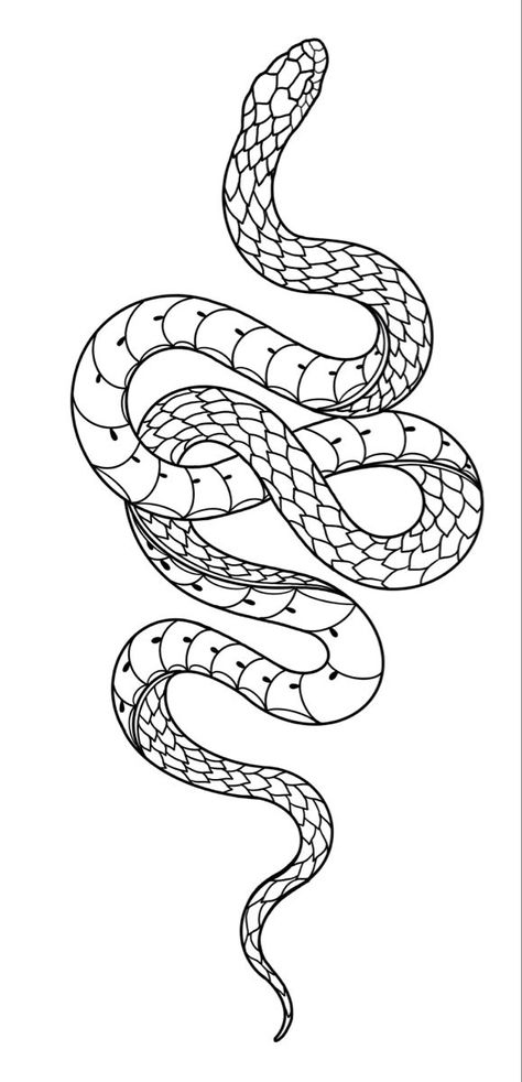 Snake tattoo stencil Snake Tattoo Stencil, Snake Outline, Cobra Tattoo, Baby Tattoo, Tattoo Snake, Serpent Tattoo, Snake Drawing, Tattoo Outline Drawing, Snake Tattoo Design