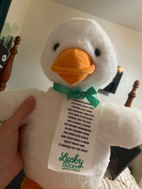 Build A Bear Lucky Duck, Lucky Ducky, Friend Vacation, Lucky Duck, Animal References, Little Duck, Don't Judge Me, Lucky Day, Cute Stuffed Animals