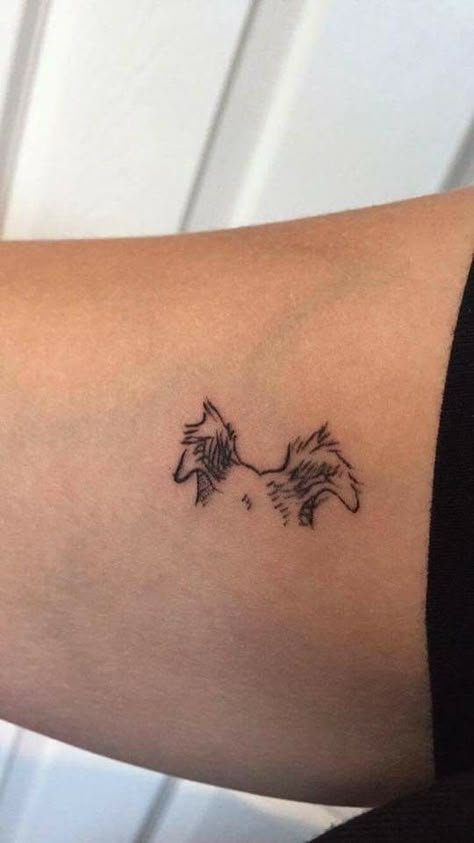 Yorkie Ears Tattoo, Outline Tattoo Placement, Doggie Tattoos, Dog Ear Outline Tattoo, Ear Outline Tattoo, Labrador Tattoo, Penny Tattoo, Tattoo Collar Bone, Dog Ear Outline