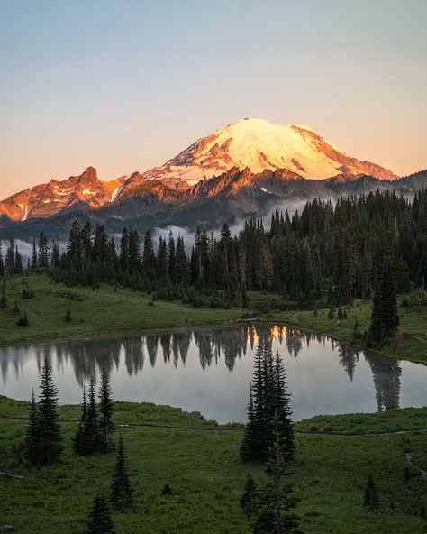 Mini Guide to Mount Rainier National Park✨ 📍SAVE to plan your visit to Mount Rainier National Park ✨Permits - You must get a timed entry reservation in advance if entering through the Paradise or Sunrise entrances between 7AM and 3PM ✨Best Viewpoints - Tipsoo Lake (pic 1) - Sunrise Point - Reflection Lake - Paradise Visitor Center ✨Best Day Hikes - Skyline Trail- 6 miles, difficult - High Lakes Loop- 3.2 miles, moderate - Mount Fremont Lookout Tower- 5.7 miles, moderate - Naches Peak Lo... Mount Lassen National Park, Mr Rainier National Park, Mount Rainier Sunset, Mt Rainier National Park Photography, Mount Aspiring National Park, New Forest National Park, My Rainier National Park, Washington National Parks, Tipsoo Lake