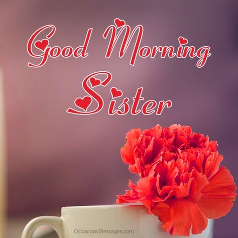 40+ Good Morning Messages for Sister - Occasions Messages Good Morning To My Sister, Good Morning Sister Love You, Good Morning My Sister, Good Morning Sistas, Good Morning Sis, Messages For Sister, Good Morning Sister Images, Dear Friend Quotes, Sister Images