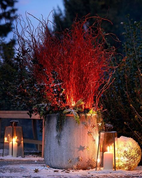 Christmas Outdoor Pots Planters, Plant Troughs, Winter Containers, Holiday Planter, Winter Planter, Flower Arrangement Designs, Garden Container, Christmas Planters, Holiday Arrangement