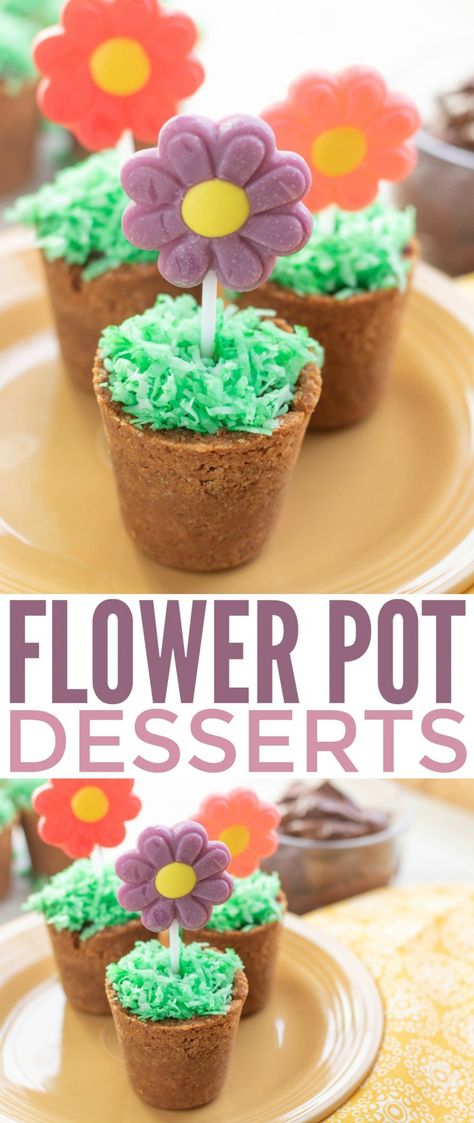 These Spring Flower Pot Desserts are a darling dessert for spring! Kids will love making, and eating them with mom, they are a fun Easter party treat for kids too. Dessert Cups Chocolate, Flower Pot Dessert, Easter Party Treats, Lollipop Flower, Chocolate Pudding Cups, Easter Rice Krispie Treats, Spring Treats, Treats And Sweets, Filled Cookies