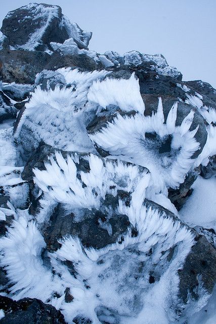 I have no armour left -I just love how you can't make anything out in this picture. It's feathery, it's sharp, it's dark, and it's light. Nature Winter, Hakone, Ice Crystals, Ice Snow, Dragon Age Inquisition, Snow Ice, Sanya, Winter Beauty, Snow And Ice