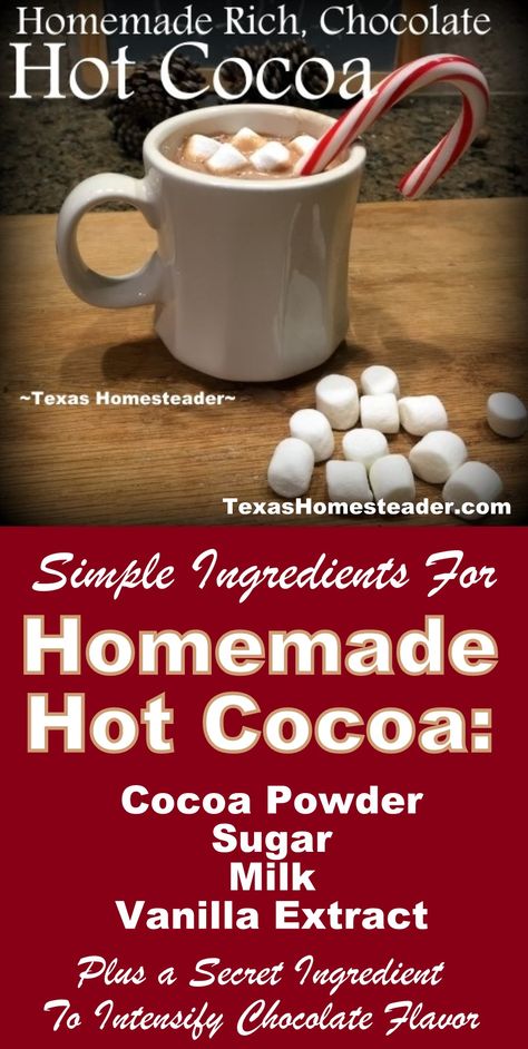 Easy Homemade Hot Cocoa Recipe. ~ Texas Homesteader ~ Hot Cocoa With Water, Martha Stewart Hot Chocolate Recipe, Homemade Hot Chocolate Without Dry Milk, Organic Hot Chocolate Mix Recipe, Hot Coco With Cocoa Powder, Droste Cocoa Recipes, Homemade Hot Cocoa Mix With Powdered Milk, How To Make Homemade Hot Cocoa, Hot Cocoa With Powdered Milk