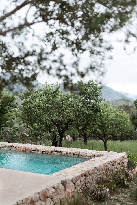 A magnificent country house in Mallorca Mediterranean Landscape Design, Stone Pool, Pool Landscape Design, Mediterranean Landscaping, Spa Towel, Mediterranean Garden, Small Pool, Plunge Pool, Swimming Pool Designs