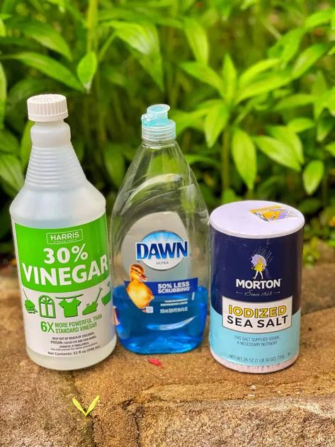 Simple Recipe for Homemade Weed Killer That Works | Hometalk Home Made Grass Killer Weeds, Homemade Weedkiller Spray Gallon, Homemade Weedeater, Vinegar For Weeds, Kill Weeds With Vinegar, Crunchy Life, Kill Weeds Naturally, Steam Lab, Killing Weeds