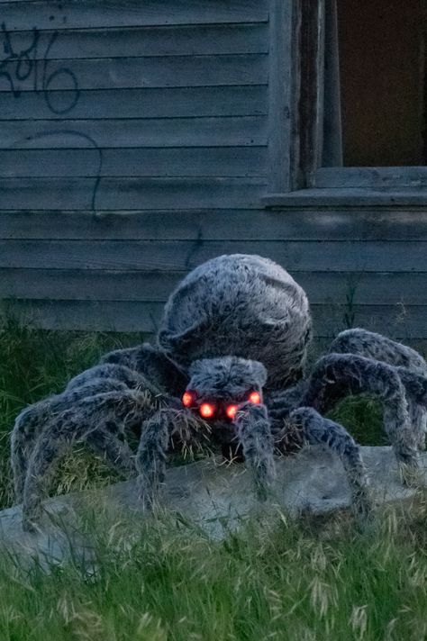 DIY Giant Halloween Spider Decoration to Scare Your Neighbours Halloween Decorations Outdoor Porch, Creative Halloween Decorations, Strašidelný Halloween, Dekorasi Halloween, Halloween Diy Outdoor, Halloween Spider Decorations, Spider Decorations, Halloween Decorations Diy, Hallowen Ideas