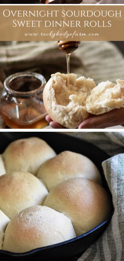 Sourdough Bread In Cast Iron Skillet, Sourdough Dinner Rolls Overnight, Cast Iron Sourdough Bread, Sourdough Cast Off Recipes, Sourdough Rolls No Yeast, Sourdough Skillet Bread, Overnight Sourdough Rolls, Sourdough Skillet Meal, Sourdough Discard Rolls No Yeast