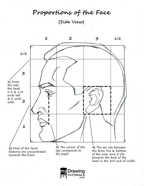 Side View Of Face, Ear Drawing, Drawing Hats, Head Anatomy, Academic Drawing, Side Face, Pencil Drawing Tutorials, Nose Drawing, Academic Art