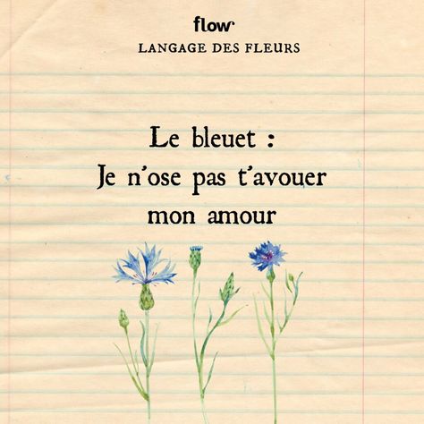 Langage des fleurs | Flow Im Falling For You, Flower Guide, Flower Meanings, Im Falling, Bullet Journal School, Language Of Flowers, Enola Holmes, Mbti, Letter Board