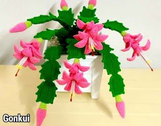 PATRONES AMIGURUMI GRATIS: PATRON GRATIS CACTUS AMIGURUMI 61466 Crochet Flowers Tutorial, Crochet Bolero Pattern, Crochet Shark, Christmas Cactus Plant, Crochet Succulent, Crochet Plants, Crochet Rose Pattern, Crochet Garden, Crochet Baby Girl Dress