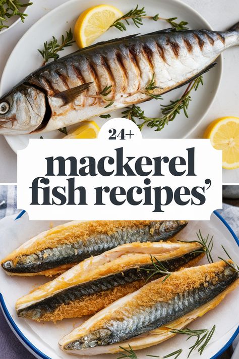 Whip up tasty mackerel fish dishes with these easy recipes perfect for weeknight dinners. From zesty grilled mackerel to creamy pasta and flavorful tacos. there’s something for everyone. Enjoy healthy meals packed with omega-3s. protein. and great flavors. Perfect for family dinners or impressing friends with your cooking skills! Whole Mackerel Fish Recipes, Mackrell Recipes Baked, Whole Mackerel Recipe, Mackerel Fish Recipes, Smoked Mackerel Salad, Baked Mackerel, Mackerel Recipe, Smoked Mackerel Pate, Baked Fish Tacos