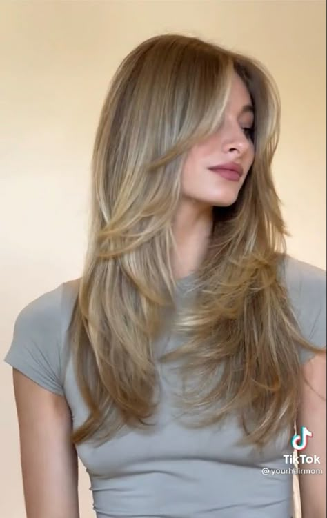 Haircuts For Long Hair With Layers, Straight Hair Cuts, Layered Haircuts For Medium Hair, Haircut Inspo, Hair Cut Ideas, Hairstyles For Layered Hair, Blonde Hair Inspiration, Hair 2024, Haircuts Straight Hair