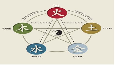 Five Chinese Zodiac Elements: What Element Am I? | Gaia 5 Elements Of Nature, Birth Animal, Dog Birth, Earth Wind Fire Water, Chinese Lunar Calendar, Zodiac Signs Elements, Astrology Dates, The 5 Elements, Spiritual Ideas