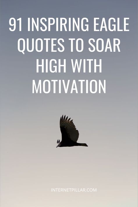 91 Inspiring Eagle Quotes to Soar High with Motivation - #quotes #bestquotes #dailyquotes #sayings #captions #famousquotes #deepquotes #powerfulquotes #lifequotes #inspiration #motivation #internetpillar Eagles Quotes Inspirational, Fly High Like An Eagle Quotes, Eagle Scout Quotes, Soar Quotes Inspiration, Soaring High Quotes, Fly Like An Eagle Quotes, Soar High Quotes, Eagle Quotes Inspiration Life, Soar Like An Eagle Quotes