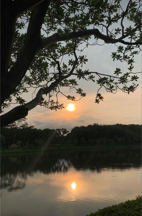 Danau Aesthetic, Sunset View Aesthetic, Dark Forest Aesthetic, Sky Photography Nature, Adventure Aesthetic, Snap Streak, Insta Profile, Pretty Landscapes, Insta Profile Pic