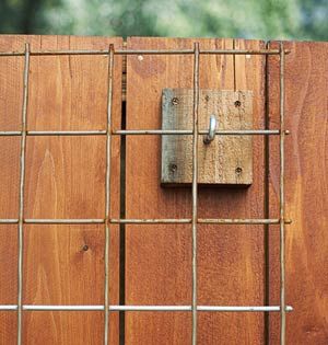 Fence Trellis, Build A Fence, Diy Garden Trellis, Trellis Ideas, Building A Fence, Garden Vines, Have Inspiration, Garden Trellis, Yard And Garden