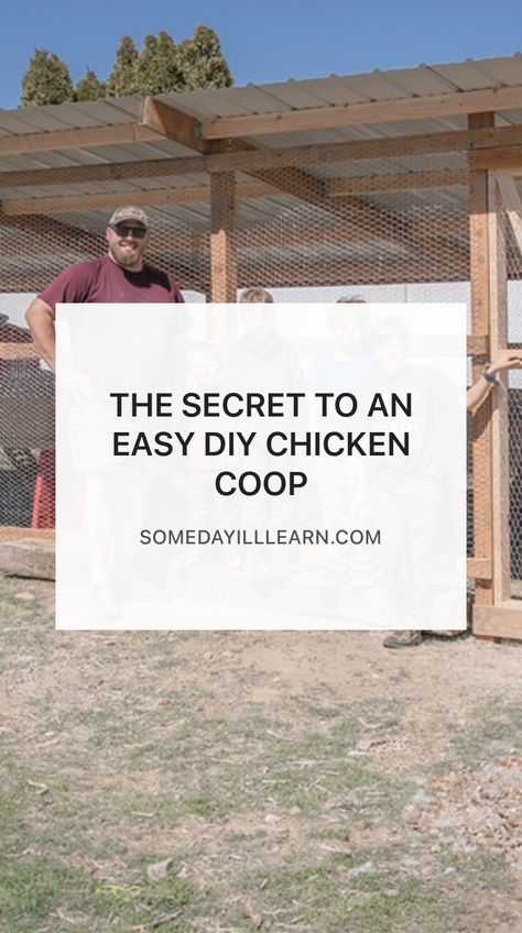 This one secret makes all the difference in the world when it comes to building a chicken coop. Do It Yourself Chicken Coop How To Build, Building A Chicken Coop Cheap, Easy Chicken Shelter, Chicken Run Plans Diy, How To Build A Cheap Chicken Coop, Diy Chicken House Cheap, Build Chicken Run, Chicken And Duck Run Ideas, Diy Chicken Coop 20 Chickens