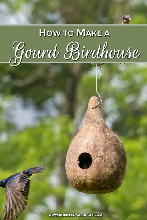 Bird House Gourds, Gourd Bird Houses, Painting Gourds, Gourds Diy, How To Build Abs, Purple Martin House, Gourd Birdhouses, Birdhouse Gourds, Birdhouse Plans