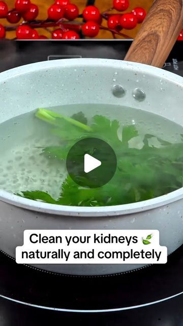 Natural Kidney Cleanse, Clean Kidneys Naturally, Kidney Remedies Natural, Parsley Kidney Cleanse, Parsley For Kidney Cleanse, Juicing For Kidney Health, Clean Your Kidneys, Kidney Juice Cleanse, What Is Good For Kidneys