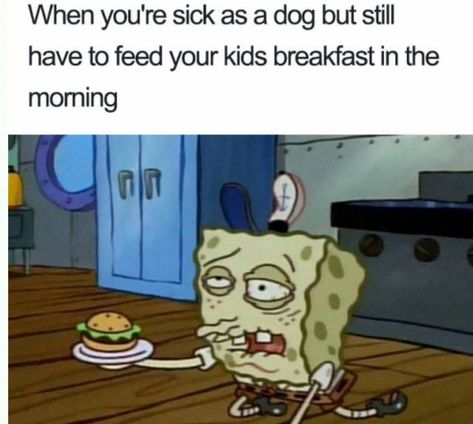 When you're sick as a dog but still have to.... Sick Meme, Parent Humor, Salford City, Funny Quotes For Kids, Mom Memes, Spongebob Memes, Memes Sarcastic, Clean Humor, Parenting Memes