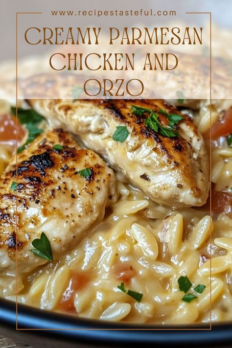 This Creamy Parmesan Chicken and Orzo is a rich and satisfying dish, combining tender chicken and pasta in a luscious creamy sauce. Perfect for a comforting weeknight dinner, it's sure to become a family favorite! Creamy Parmesan Chicken With Orzo, Creamy Parmesan Chicken Orzo, Creamy Garlic Orzo Recipes, Creamy Chicken With Orzo, Creamy Chicken And Orzo Skillet, Creamy Parmesan Orzo With Chicken And Asparagus, Garlic Chicken And Orzo, Dutch Oven Orzo Recipes, Creamy Chicken Risotto Recipe