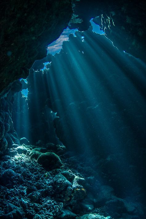 Rauch Fotografie, Water Aesthetic, Misty Morning, Mermaid Aesthetic, Ocean Wallpaper, Red Sea, Underwater Photography, Sea And Ocean, Under Water