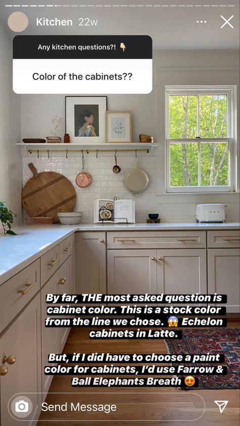 Elephants Breath Kitchen, Farrow And Ball Kitchen, Color Palette For Interior, Elephants Breath, Mushroom Paint, Exterior Finishes, Cabinet Paint, Cabinet Paint Colors, Farrow And Ball