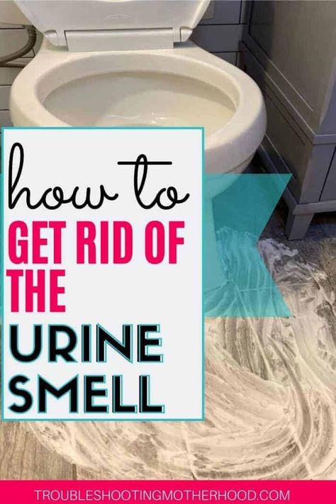 Wondering how to remove the horrible urine smell from your bathroom? Follow this quick guide on how to finally get the pee smell our of your bathroom once and for all! Quick trick for cleanup too! #stinkybathroom #boymom #peesmell #urinesmell #bathroomstinks Natural Urine Odor Remover, Pee Smell Out Of Wood Floors, Toilet Smells Like Urine, Bathroom Smells Like Urine, How To Get Rid Of Urine Smell In Toilet, How To Get Urine Smell Out Of Bathroom, Get Rid Of Urine Smell In Bathroom, How To Get Rid Of Mice Urine Smell, How To Get Rid Of Pee Smell In Bathroom