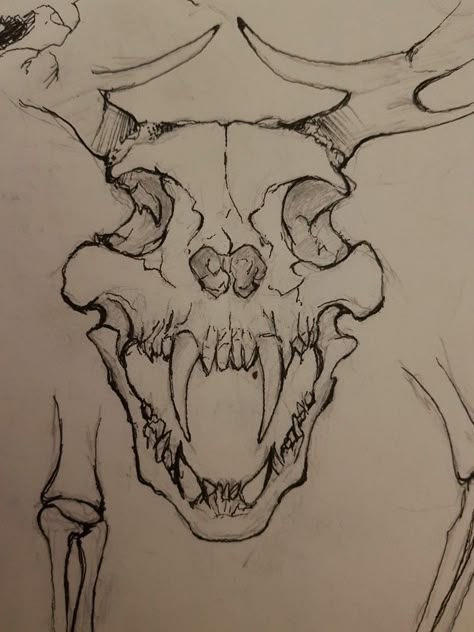 Skull Sketch, Scary Drawings, Dragon Skull, Creepy Drawings, Beautiful Tattoo, Skull Drawing, Cat Air, Best Tattoo Designs, Arte Sketchbook