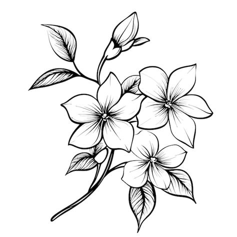 Vector fllower_jasmin vector | Premium Vector #Freepik #vector #gardenia #bouquet-illustration #jasmine-flower-drawing #jasmine-flower-art Jasmine Flower Drawing Art, Jasmin Flower Drawing, Drawing Ideas Plants, Jasmine Flower Illustration, Anemone Flower Drawing, Simple Flowers Drawing, Flower Drawing Reference, Jasmine Flower Drawing, Jasmine Illustration