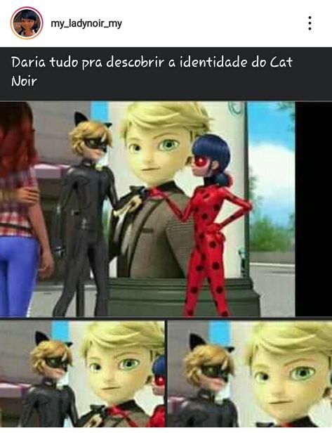 Ladybug E Catnoir, Lady Noir, Miraculous Memes, Ladybug Art, Ladybug Anime, Cat Noir, Lady Bug, Miraculous Ladybug, Mlb