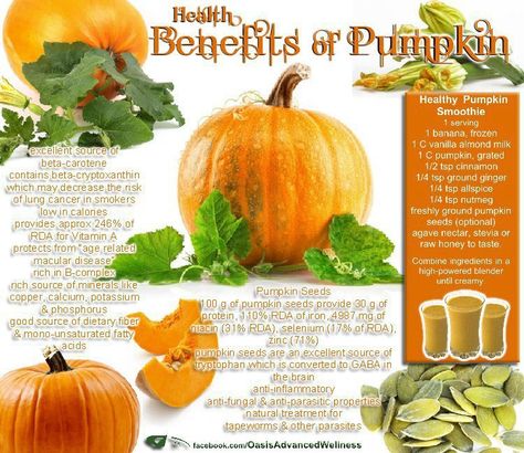 Pumpkins are packed with nutrition and offer a wide range of health benefits. They are perfect when you want a healthy treat. That way, you can have all of the enjoyment without any of the guilt. Pumpkin Health Benefits, Pumpkin Benefits, Pumpkin Smoothie Healthy, Darebee Workout, Paleo Pumpkin Muffins, Benefits Of Pumpkin, Pumpkin Seeds Benefits, Real Rainbow, Benefits Of Food