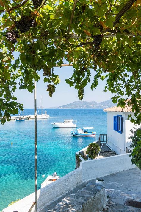 Samos Greece, Mediterranean Aesthetic, Best Holiday Destinations, Greece Islands, Samos, Dream Travel Destinations, Dream Holiday, Fishing Villages, Greek Island