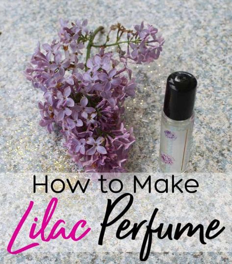 If you like the smell of lilac, you will love this DIY perfume with essential oils! Learn how to make lilac perfume in just a few minutes! It smells so good you won't want to wear anything else! Lilac Essential Oil, Perfume With Essential Oils, Diy Perfume Recipes, Lilac Perfume, Diy Toiletries, Amber Spray Bottle, Coconut Milk Shampoo, Homemade Perfume, Lavender Perfume