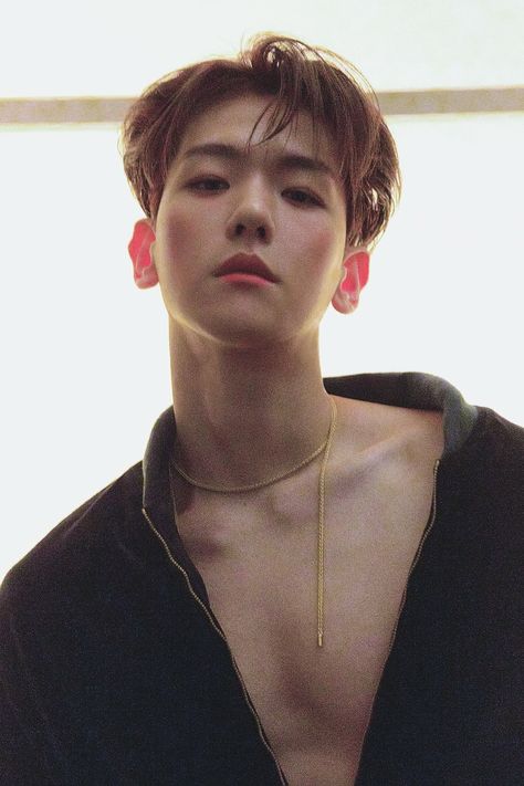 #baekhyun #exo #exol #handsome #geniusidol #puppy #bobohu #citylights #delight Baekhyun Hot, Baekhyun Wallpaper, Exo Ot12, Exo We Are One, Kpop Exo, Exo Members, Exo Sehun, Exo Baekhyun, Byun Baekhyun