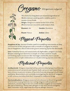 Wicca For Beginners, Magickal Herbs, Tarot Significado, Witch Herbs, Magic Herbs, Grimoire Book, Magical Herbs, Wiccan Spell Book, Witchcraft Spell Books