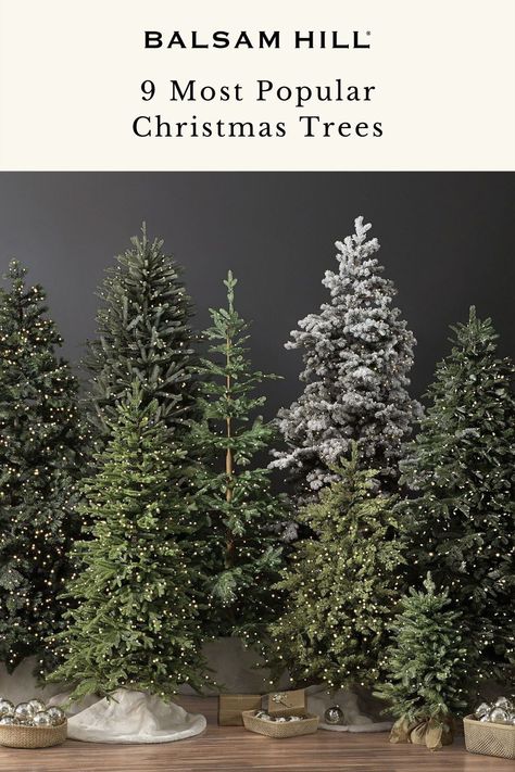 When choosing a live Christmas tree, some of the most important things to consider are its shape, color, sturdiness, and needle retention. To help you decide, we've rounded up the most popular Christmas tree species and their Balsam Hill tree counterparts. Read more on our blog. Douglas Fir Christmas Tree, Noble Fir Christmas Tree, Fraser Fir Christmas Tree, Best Artificial Christmas Trees, Types Of Christmas Trees, Realistic Artificial Christmas Trees, Live Christmas Trees, Mexican Hacienda, Spruce Christmas Tree